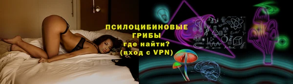 a pvp Алзамай