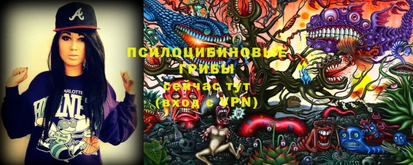a pvp Алзамай