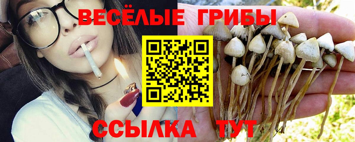 Галлюциногенные грибы Psilocybe  Вход с VPN  Сатка 