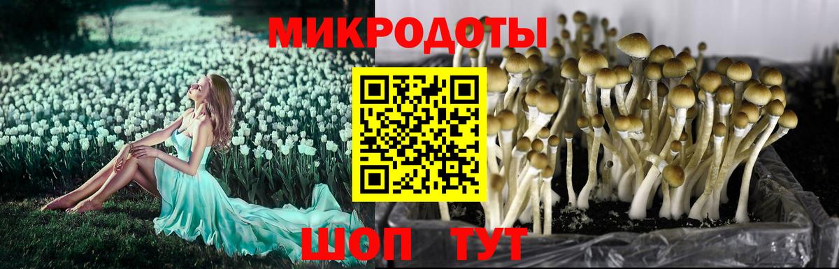 Галлюциногенные грибы мухоморы Сатка